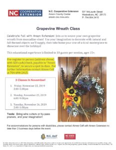 Grapevine Wreath Class