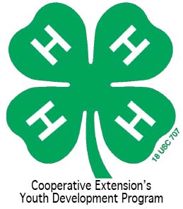 4-H Clover