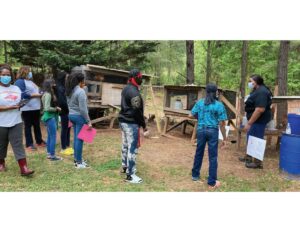 Cover photo for Anson Youth Leaders Farm Tour