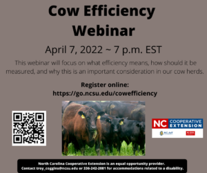 Cover photo for Cow Efficiency Webinar