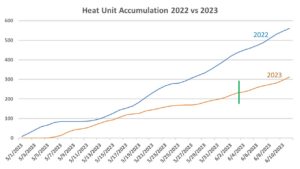 Cover photo for When Will This Cotton Start Growing? (Collins & Edmisten)