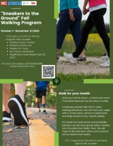 Fall Walking Program