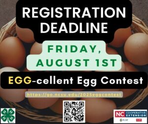 Cover photo for Egg-Cellent Egg Contest